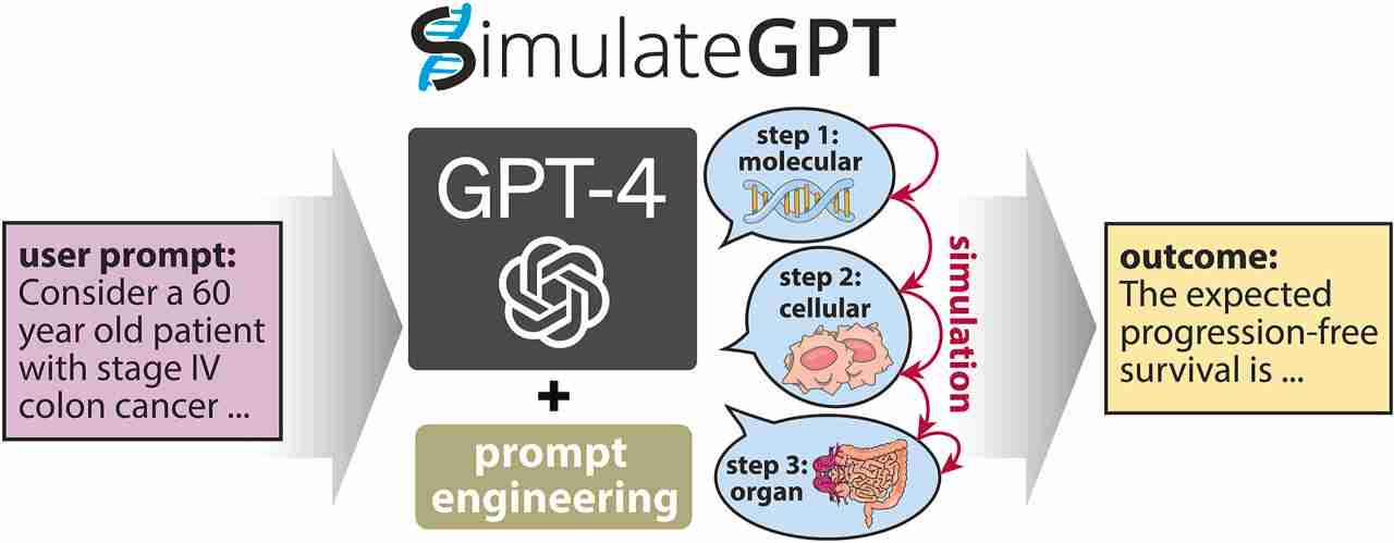 Researchers develop GPT-4-based simulator for biomedical